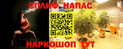метамфетамин Гатчина